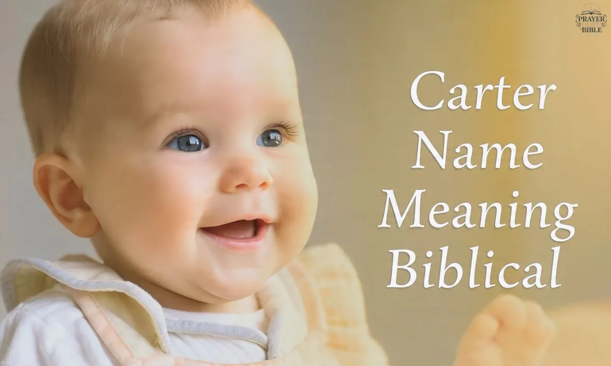 Carter Name Meaning Biblical