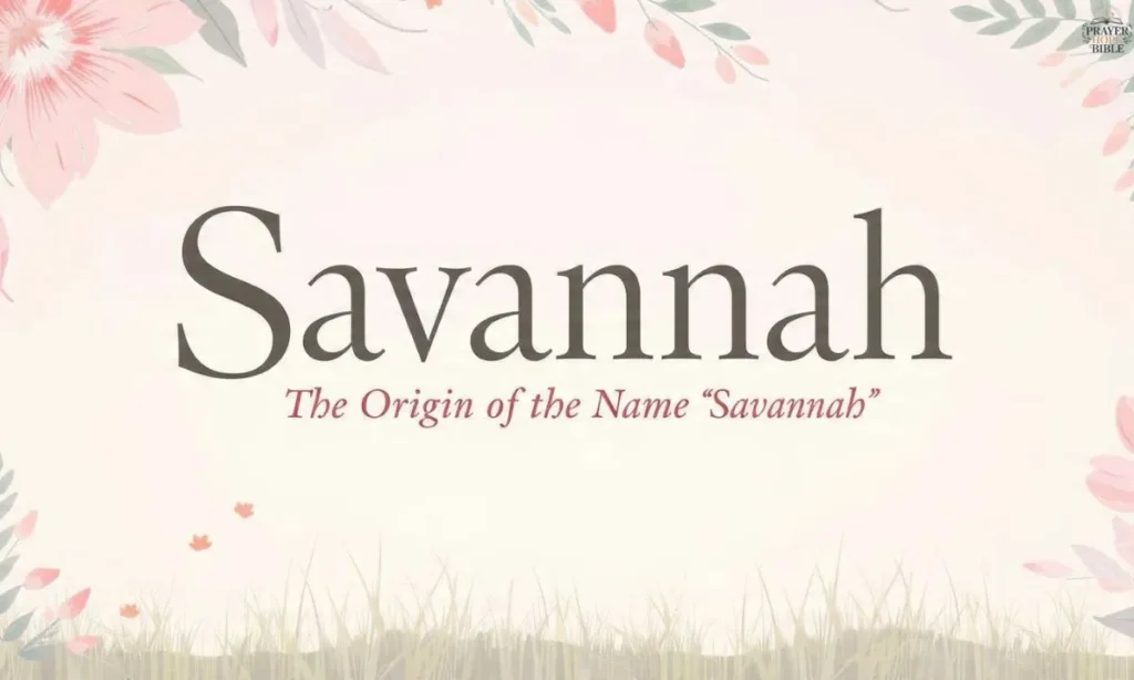 The Origin of the Name Savannah