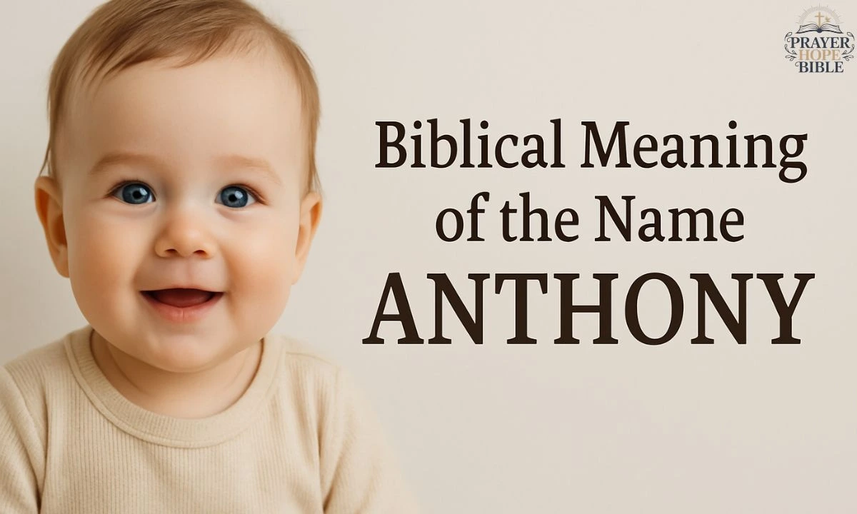 The Terrific Biblical Meaning of the Name ANTHONY
