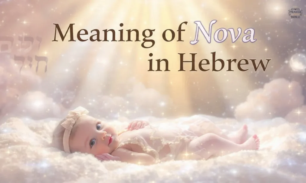 Meaning-of-Nova-in-Hebrew