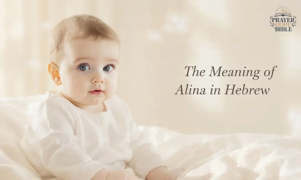 The-Meaning-of-Alina-in-Hebrew