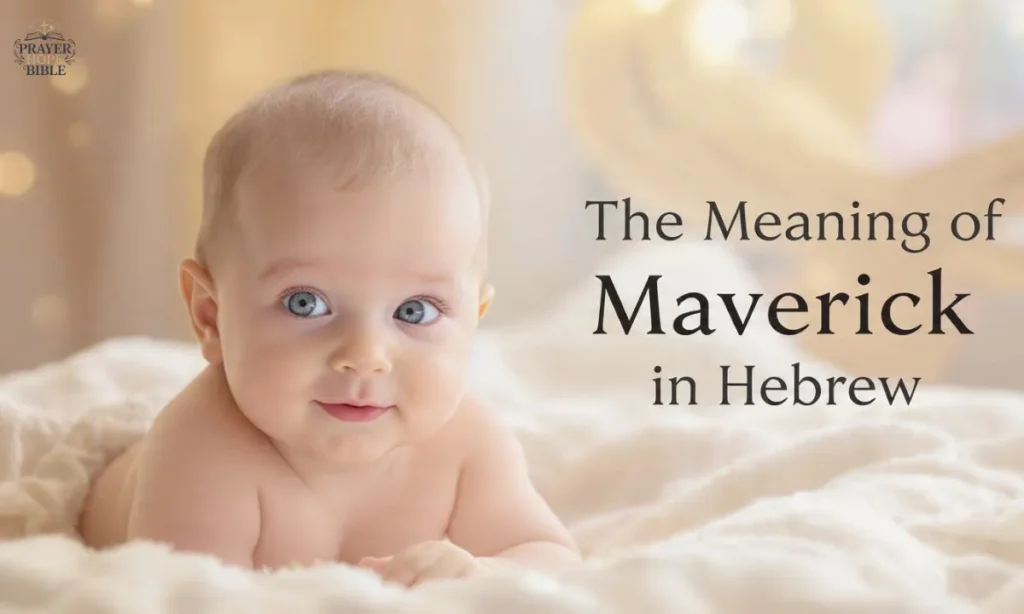 The-Meaning-of-Maverick-in-Hebrew