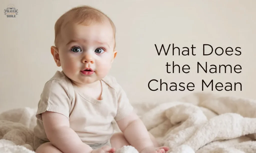 What-Does-the-Name-Chase-Mean