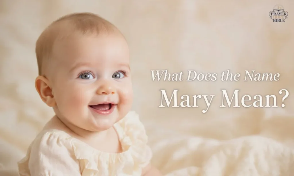 What-Does-the-Name-Mary-Mean