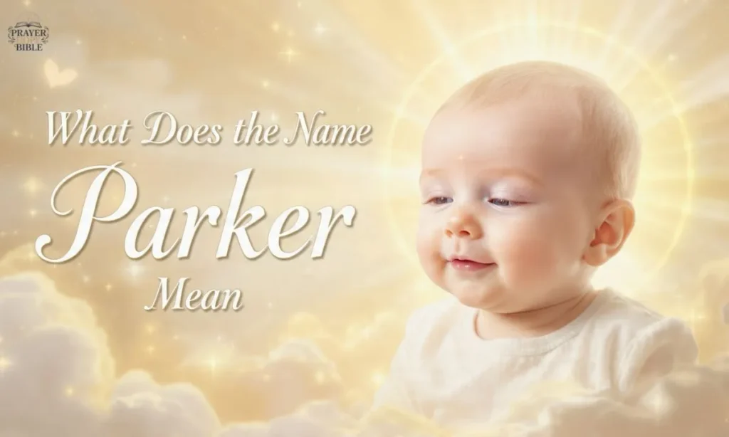 What-Does-the-Name-Parker-Mean