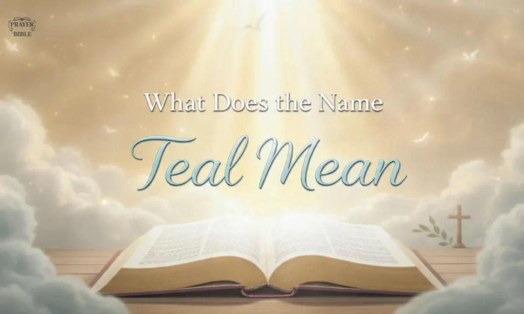 What-Does-the-Name-Teal-Mean