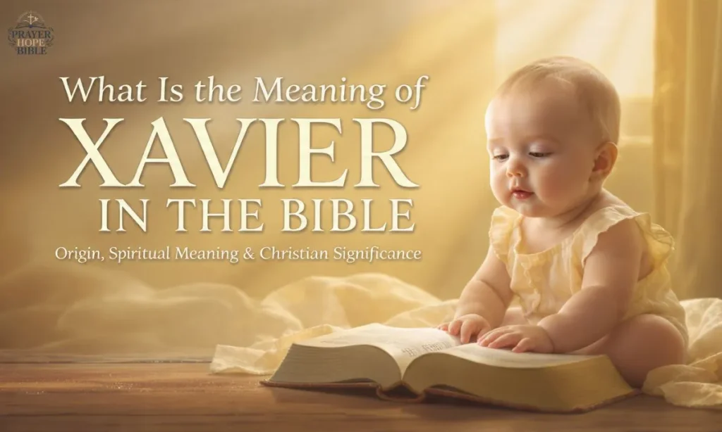 What-Is-the-Meaning-of-Xavier-in-the-Bible