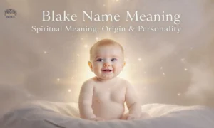 Blake-Name-Meaning