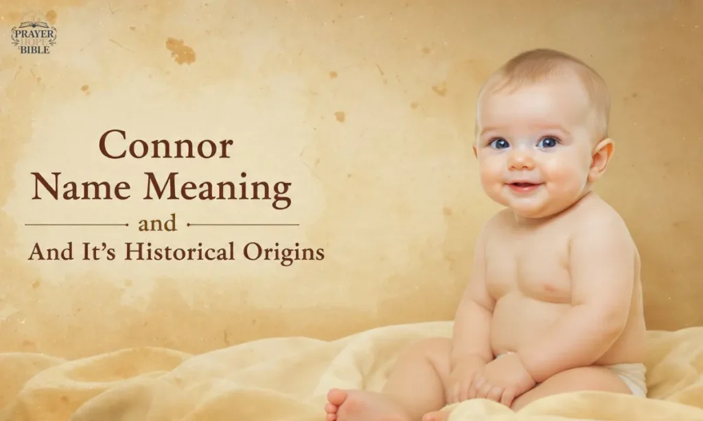 Connor-Name-Meaning-and-Its-Historical-Origins