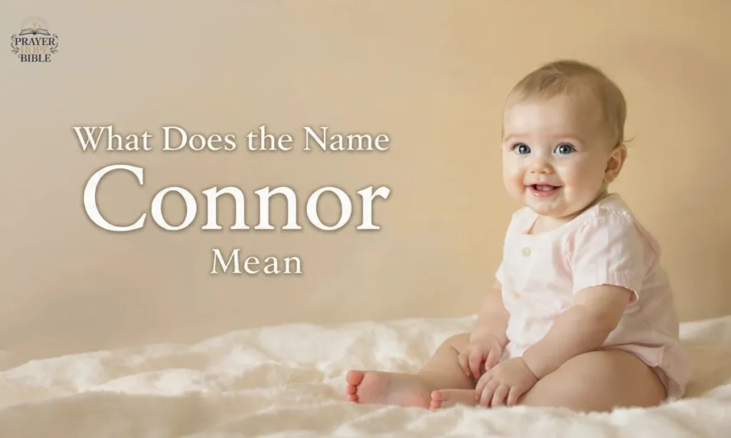 What-Does-the-Name-Connor-Mean