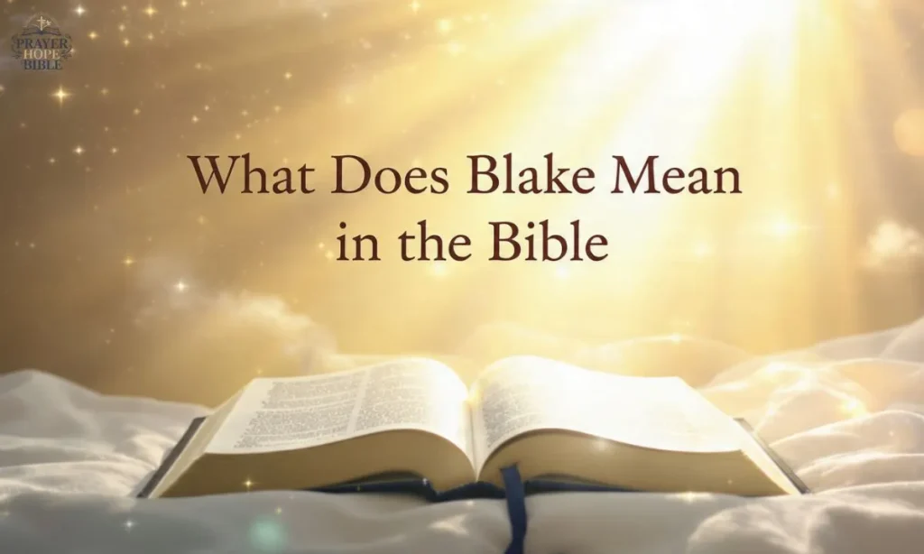 What-does-Blake-Mean-in-the-Bible